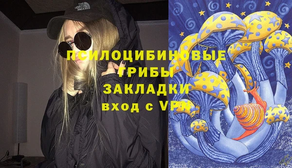 ECSTASY Нея