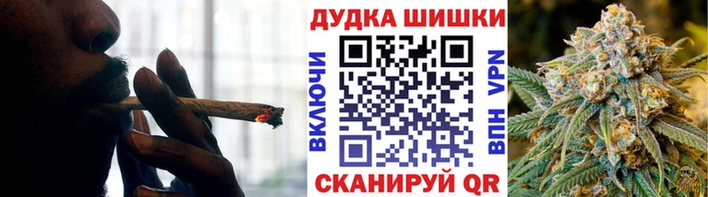 Купить где  Ишим  Конопля сатива 